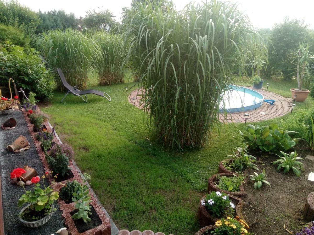 גוסלר Ferienwohnung Blick Ins Land מראה חיצוני תמונה